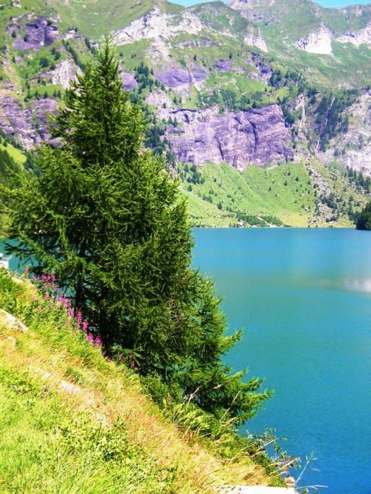 Laghi.....del PIEMONTE